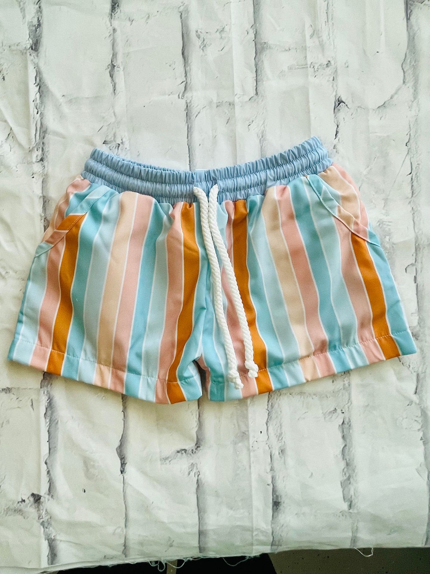 Stripe Swim Trunks