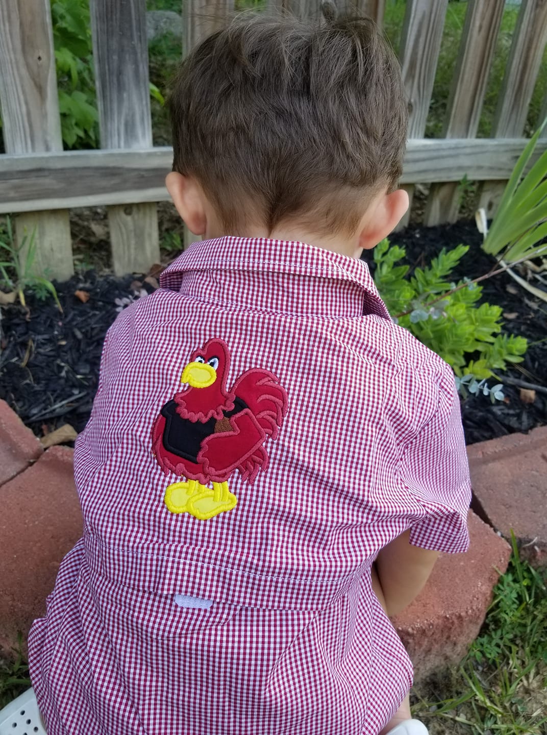 Rooster Shirt